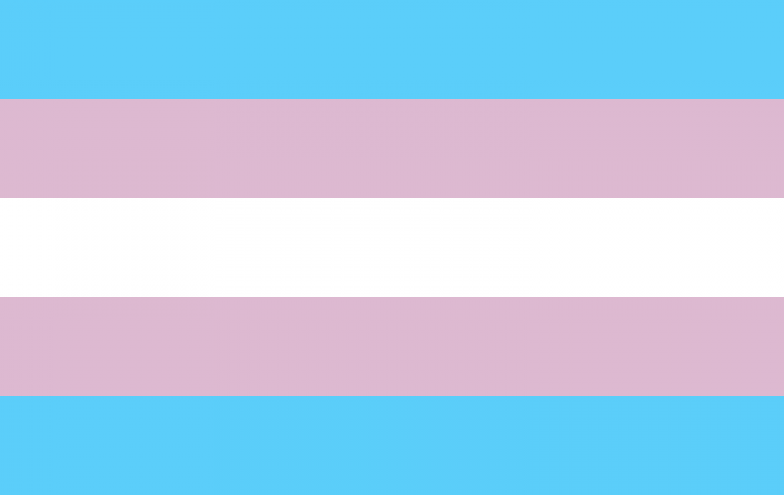 Transgender flag