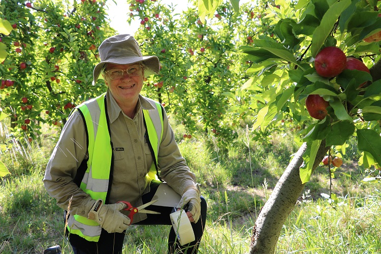 Dr Sally Bound in apple orchard