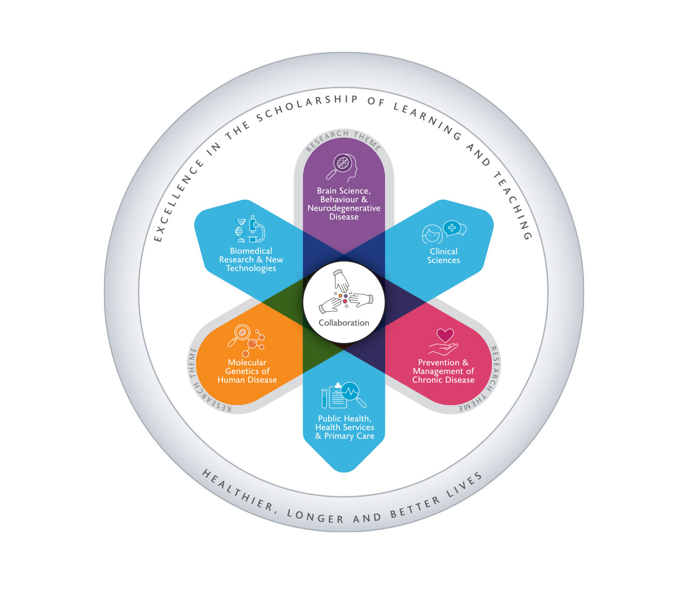 DIAGRAM SHOWS: Six petals overlapping at a central point. Three petals represent the research themes undertaken in the College: Brain Science, Behaviour and Neurodegenerative Disease; Prevention and Management of Chronic Disease and; Molecular Genetics of Human Disease. These intersect with three petals representing the approaches used to address these themes: clinical sciences; public health, health services and primary care and; biomedical research and new technologies.