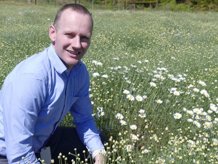 Dr Jason Scott in Pyrethrum Field