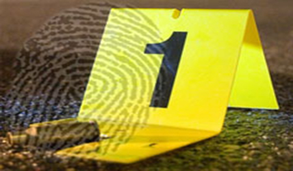 Forensic Studies UTAS