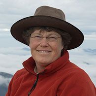 Professor Menna Jones
