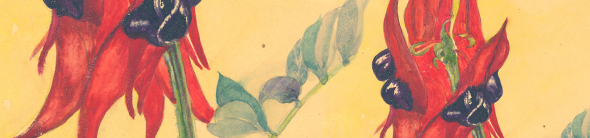 promotional image for exhibit