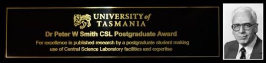 Picture for the award advertisement