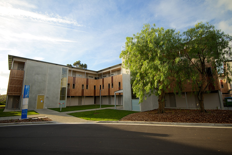 Apartments with tree in front
