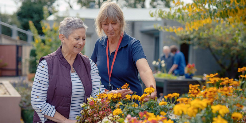 Aged Care