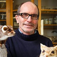 Professor Chris Johnson