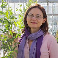 Dr Eloise Foo